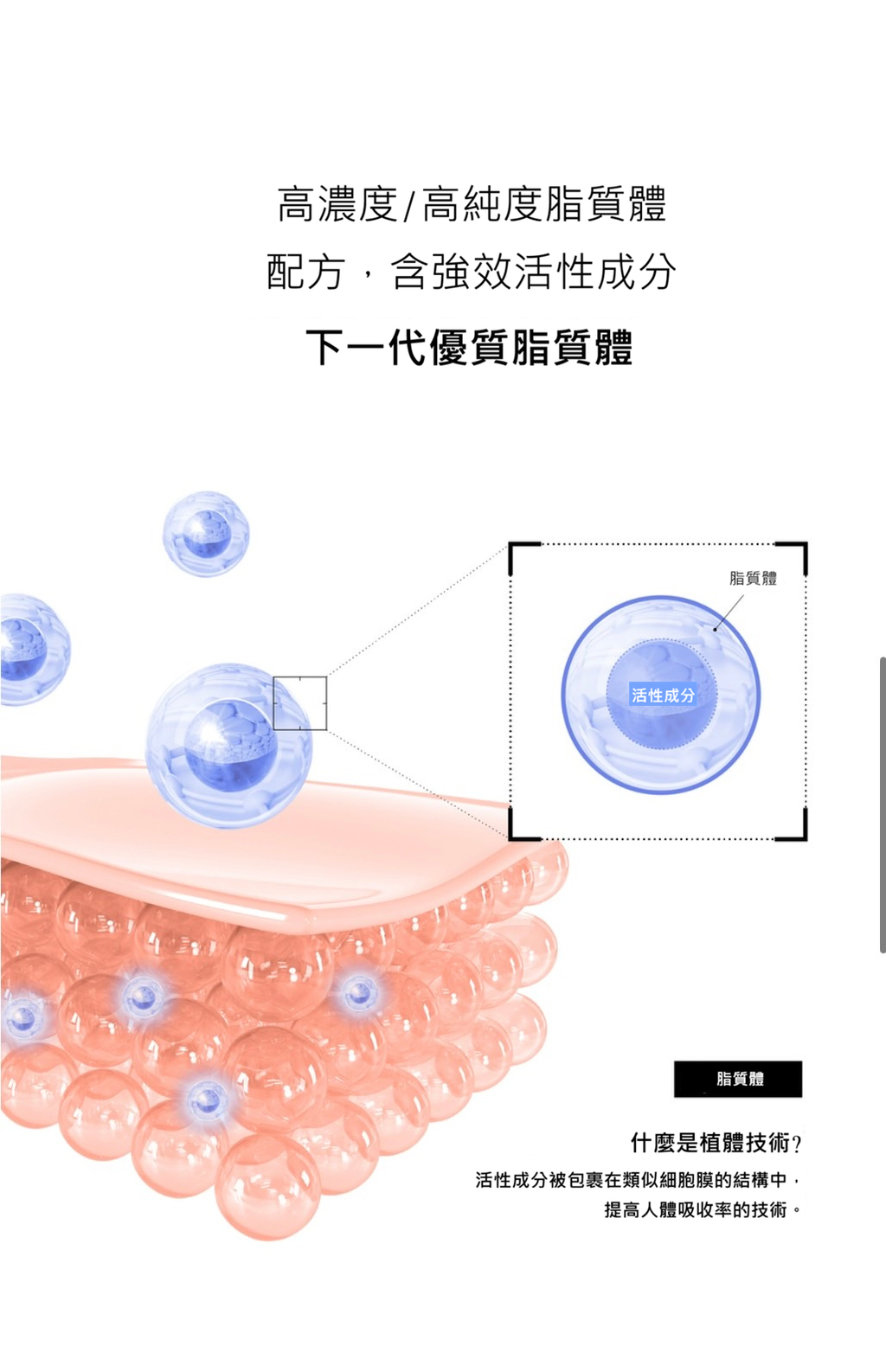 脂質體技術