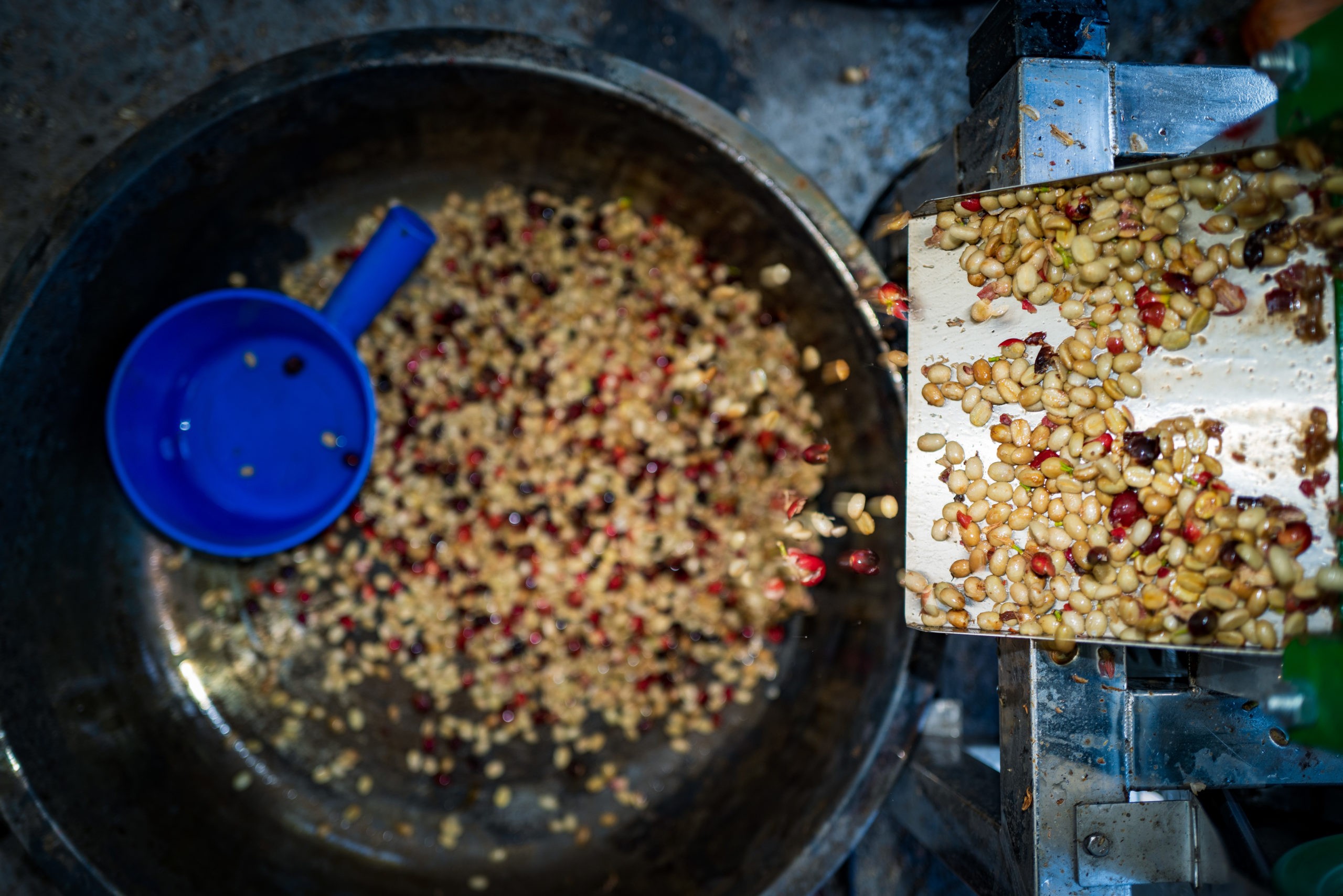 咖啡標籤怎麼看？Pt. 2 處理法的花花世界 | 咖啡新手想搞懂