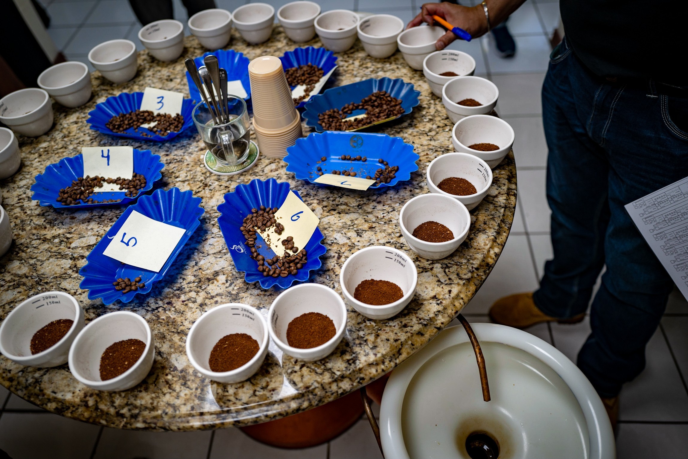 是過度發酵，還是只是高度發酵？| 台灣國產咖啡