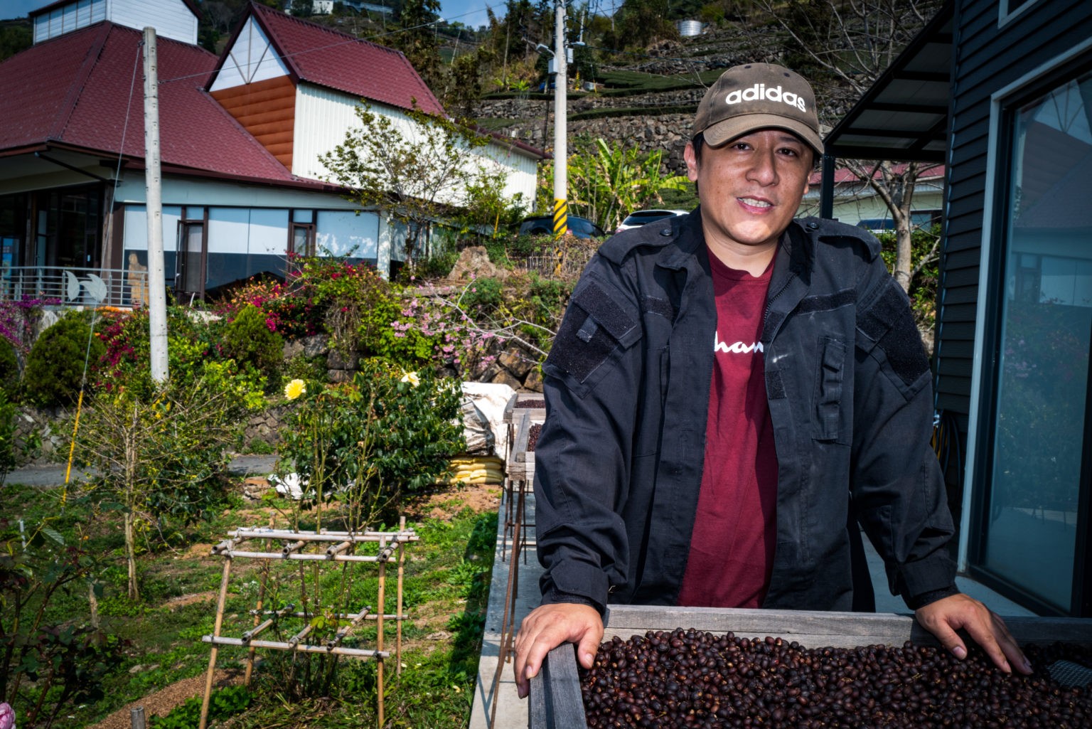 阿里山的產區風味 | 台灣國產咖啡