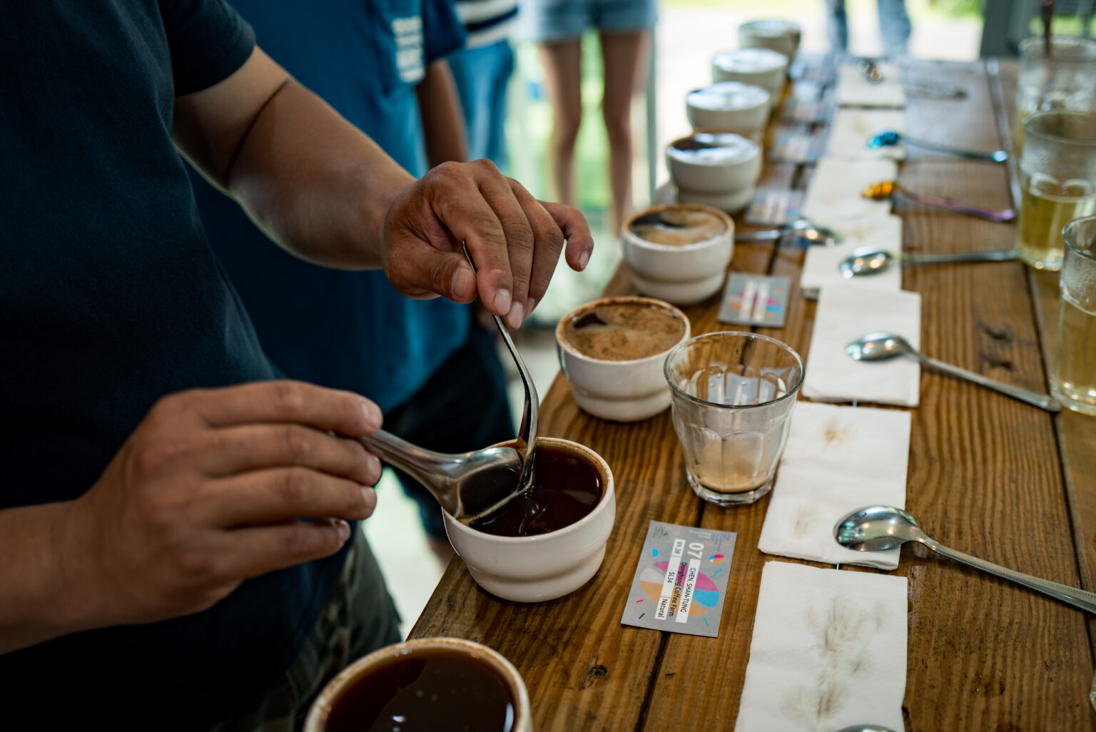 評分表上的1/N：杯測裁判的影響力到底有多大？ | 台灣國產咖啡