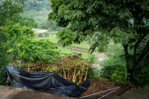 avayilovestoplaylego-mojocoffee-1