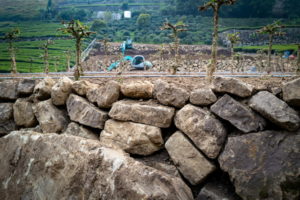 avayilovestoplaylego-mojocoffee-2