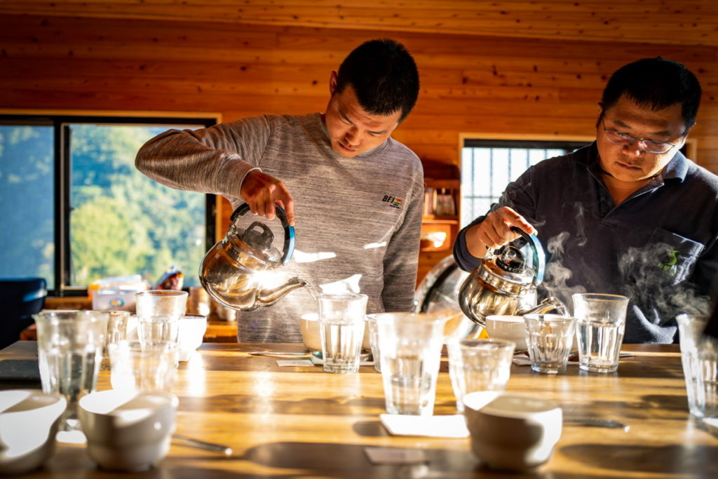 草嶺杯測初體驗 | 台灣國產咖啡