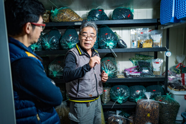 koana-kezilin-coffee-estate-management-spirit-mojocoffee-3