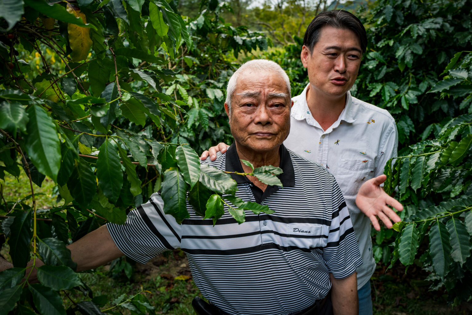 谷泉咖啡莊園：荷苞山咖啡歷史的守護者 | 台灣國產咖啡