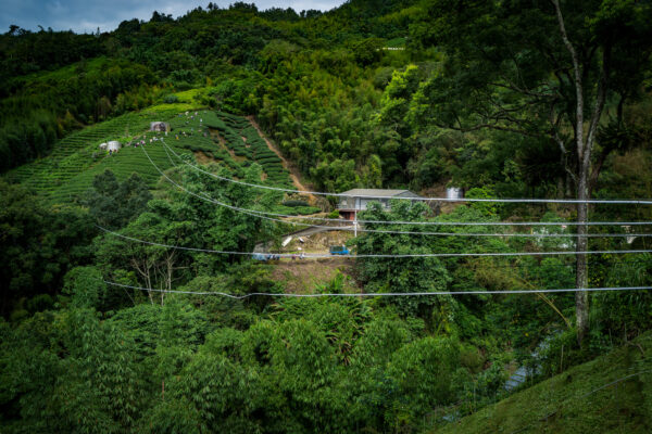 caoling-dongbi-mountain-retreat-two-steps-ahead-mojocoffee-1