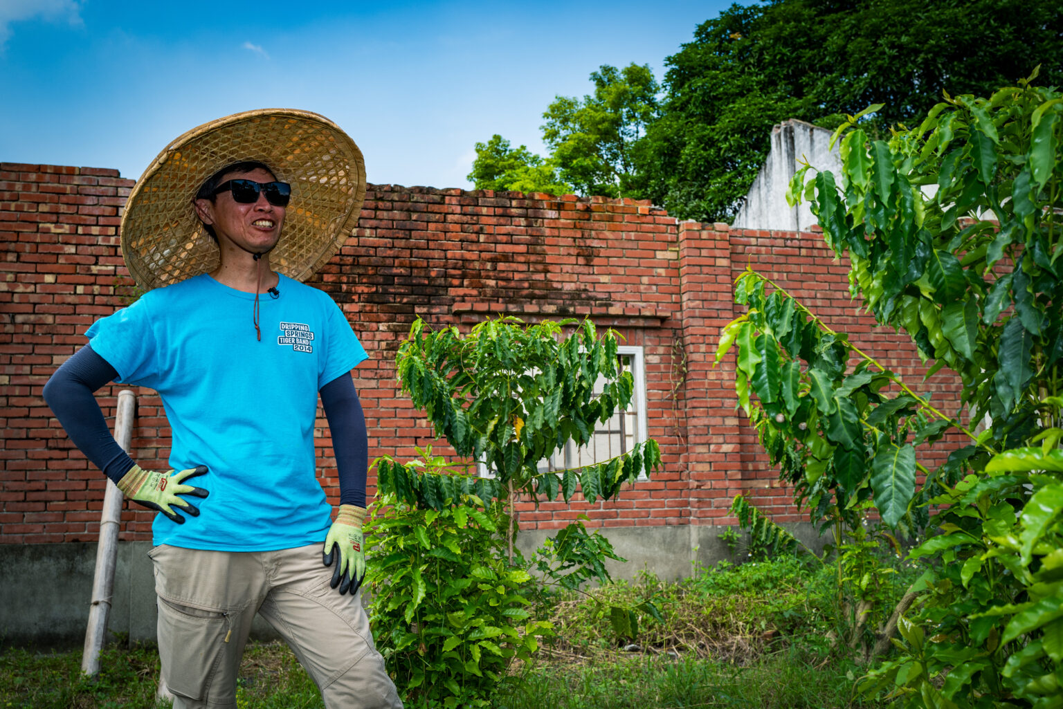 土地過客的善意：老菸樓檸檬咖啡 | 台灣國產咖啡