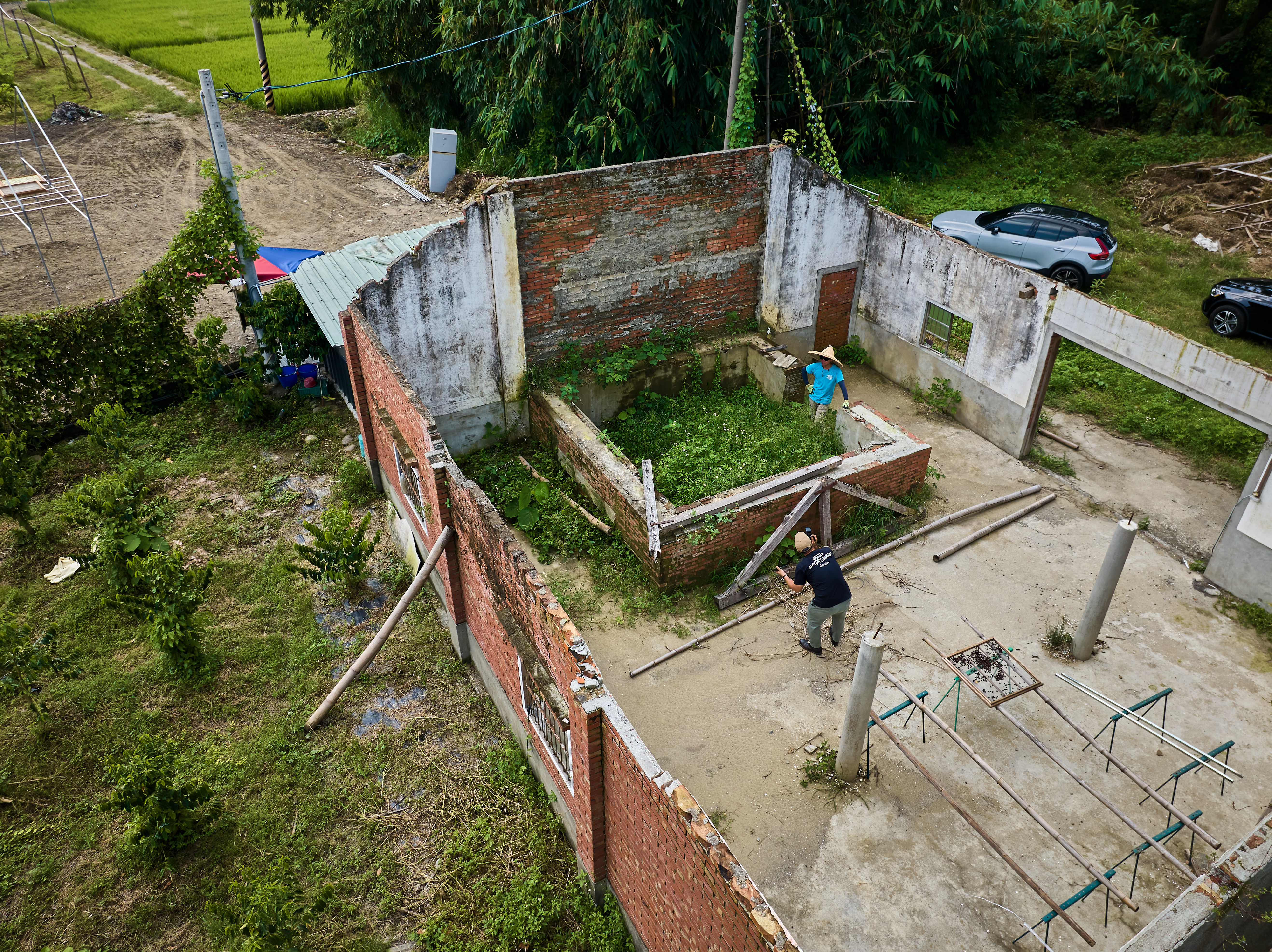 tobacco-lemon-and-coffee-kindness-mojocoffee-4