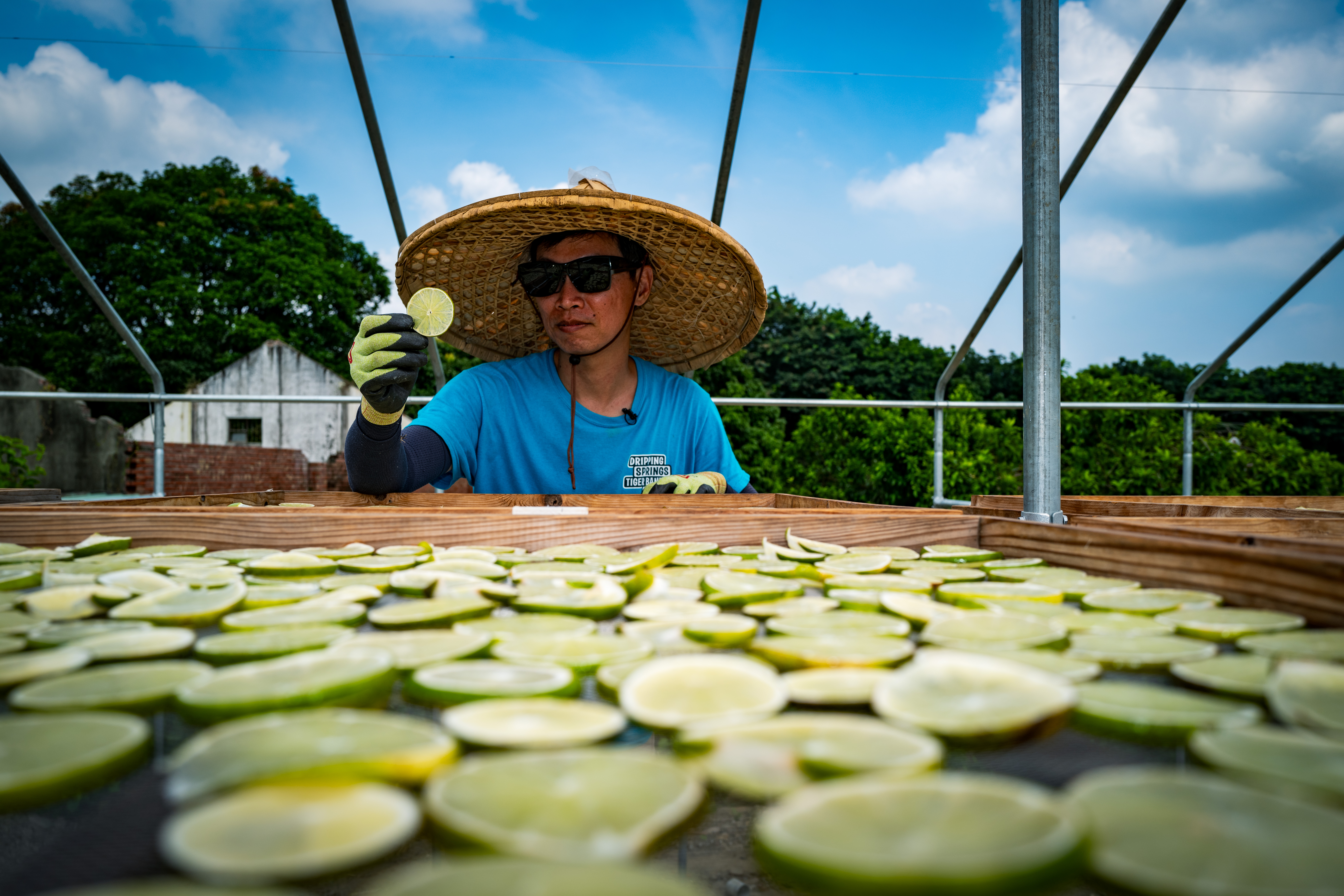 tobacco-lemon-and-coffee-kindness-mojocoffee-5