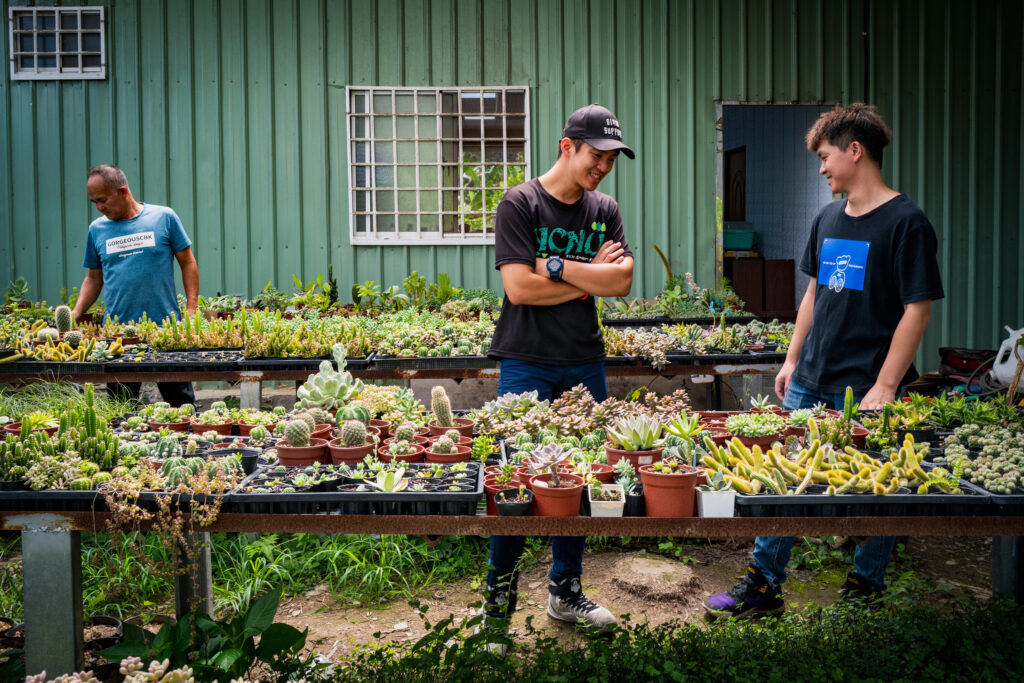 Qatu-pakisan-coffee-dream-mojocoffee-3