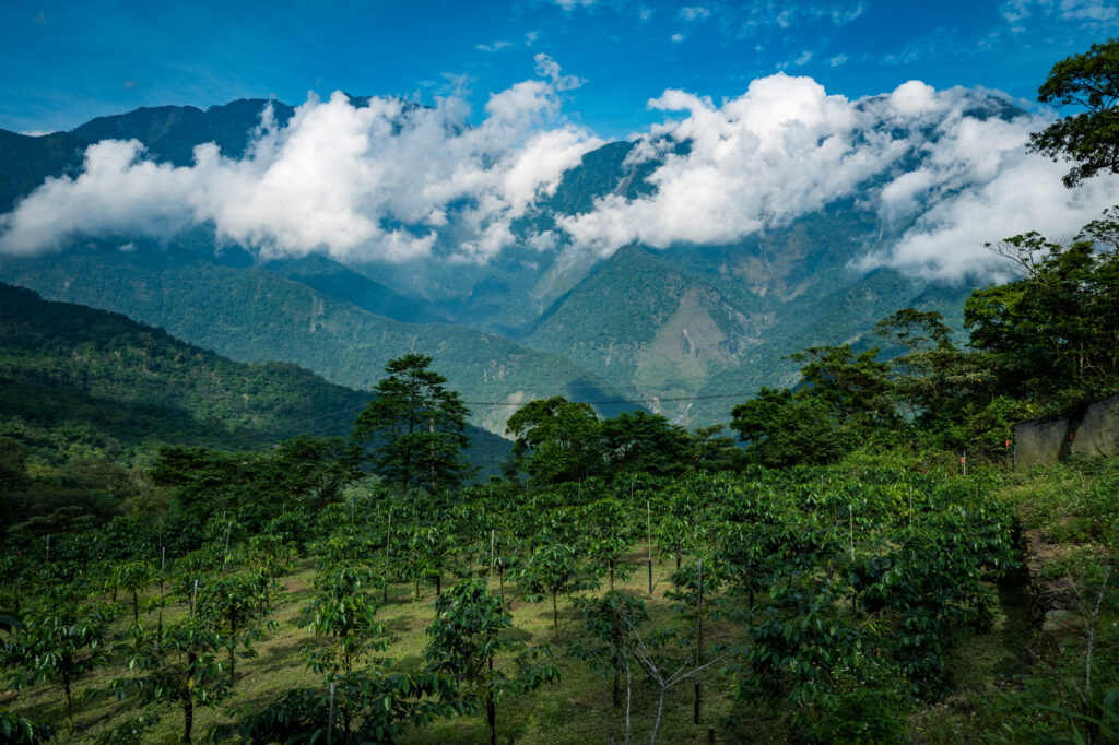 mypcoffee-exploring-pingtung-1