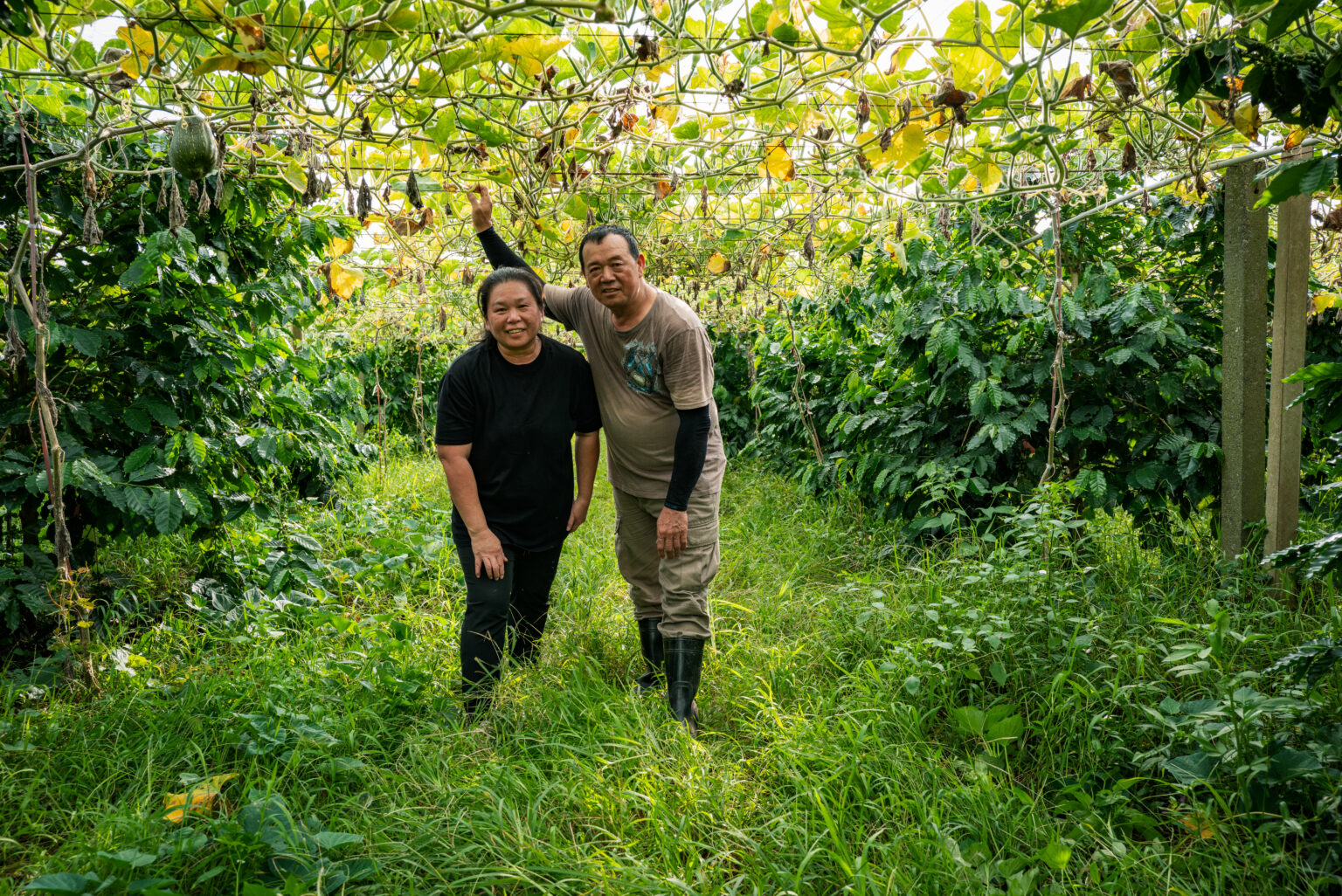 共生的咖啡園：勝樂咖啡莊園 | 台灣國產咖啡