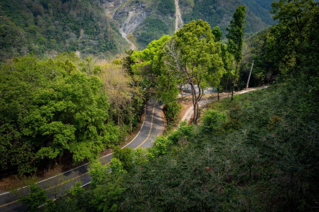 peishu-tefuye-flying-squirrel-coffee-history-mojocoffee-1