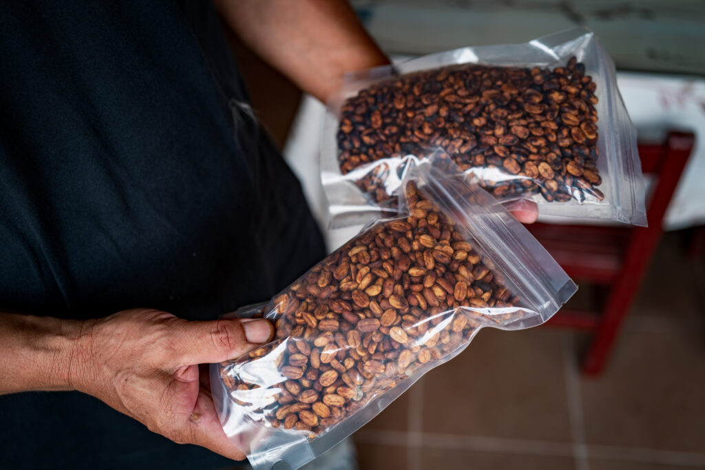 back-to-the-top-touguishan-coffee-rise-mojocoffee-1