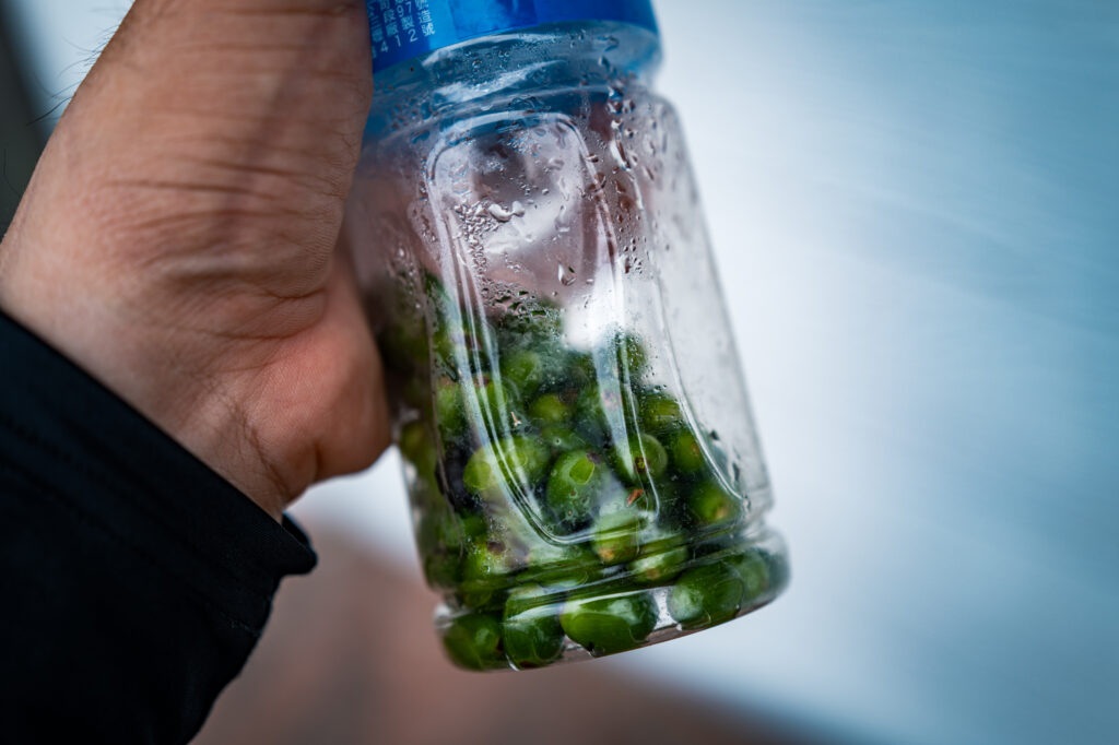 back-to-the-top-touguishan-coffee-rise-mojocoffee-2