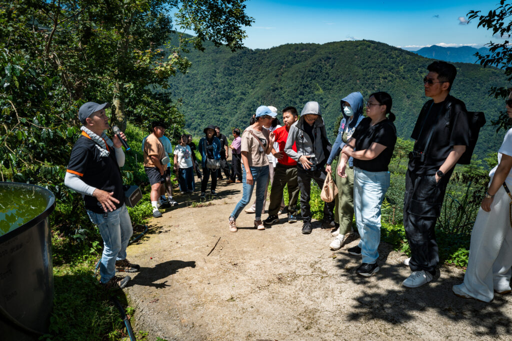 sunlit-nantou-coffee-new-era-mojocoffee-1