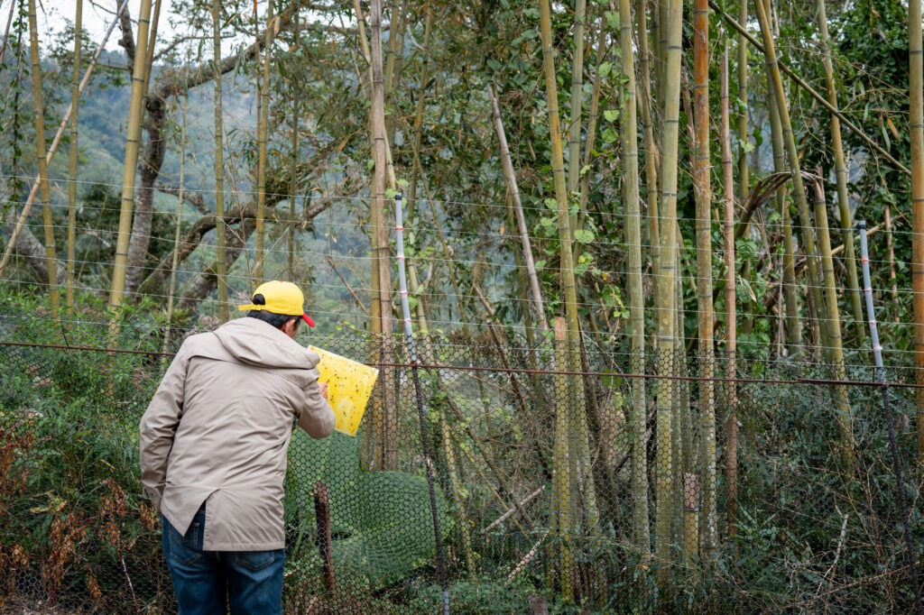 jiahe-coffee-estate-hardworking-man-mojocoffee-1
