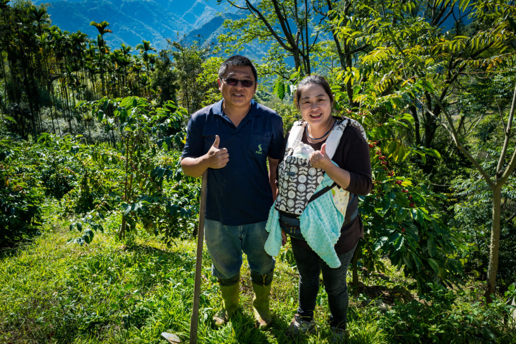 caoling-huaxitien-coffee-estate-mojocoffee-1