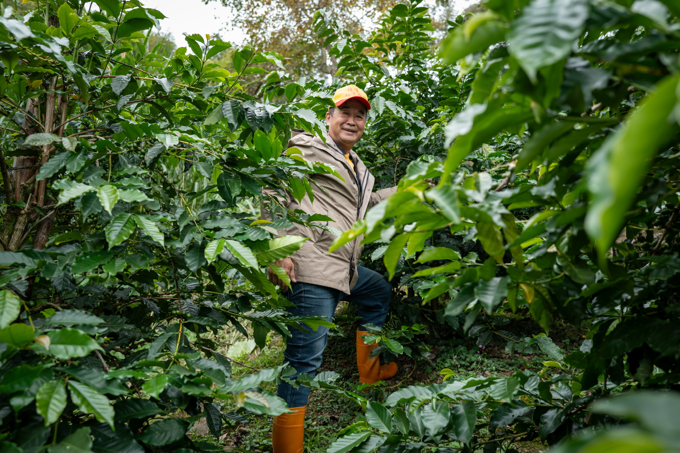 greenripple-mojocoffee-founder-interview