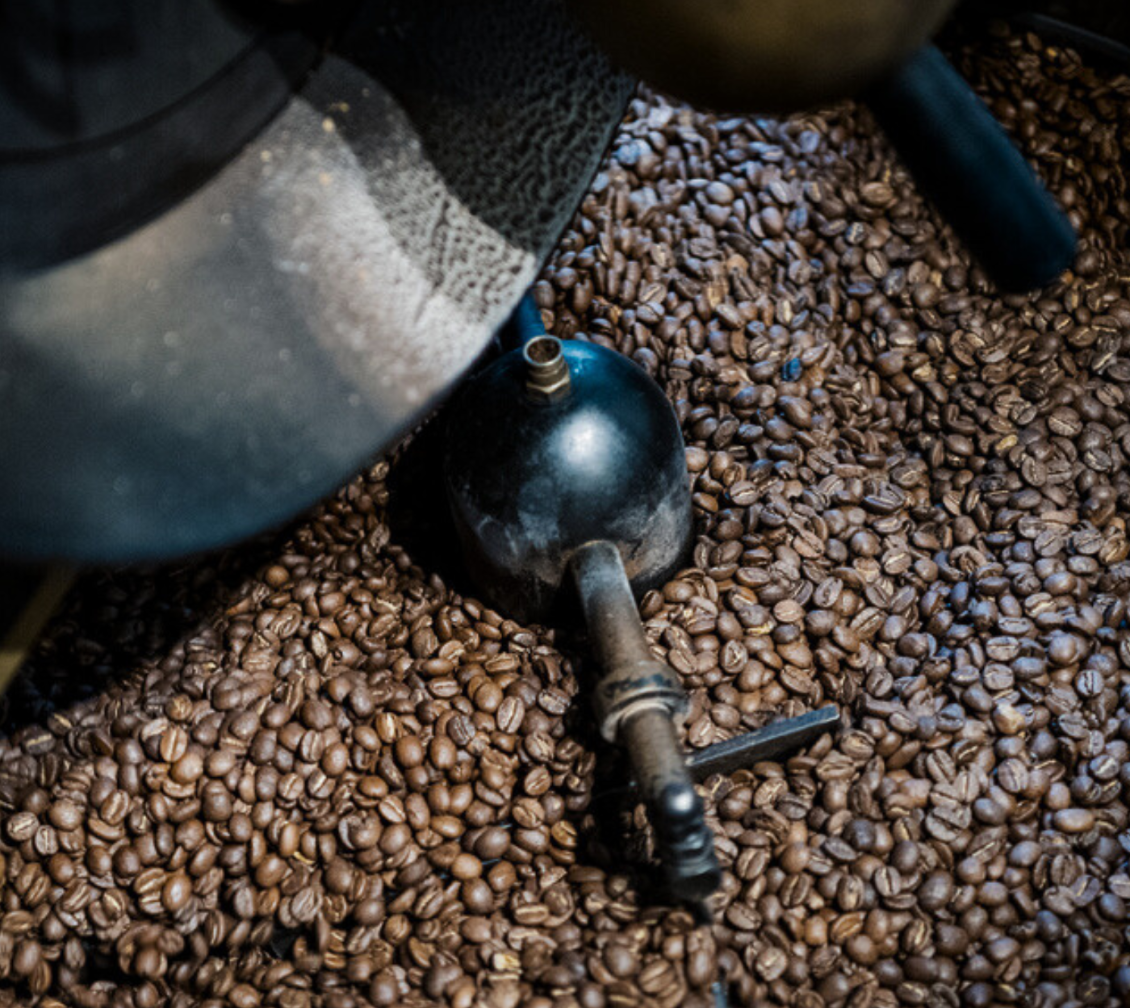mojocoffee-Wholesale Coffee Beans