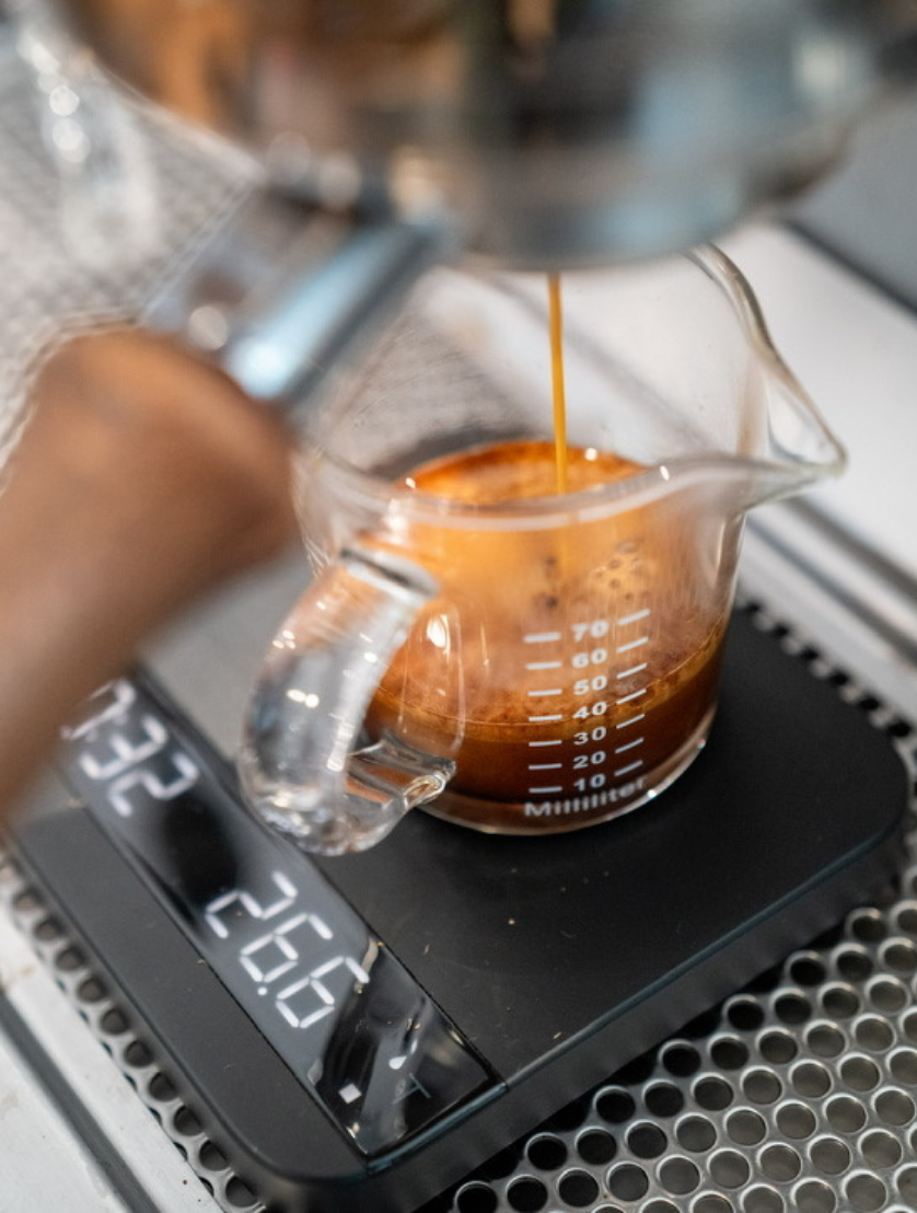 mojocoffee-about-us-coffee-philosophy-from-origin-to-cup