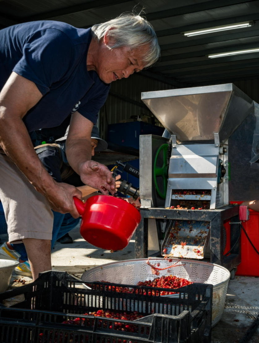 mojocoffee-about-us-supporting-taiwanese-coffee-origins