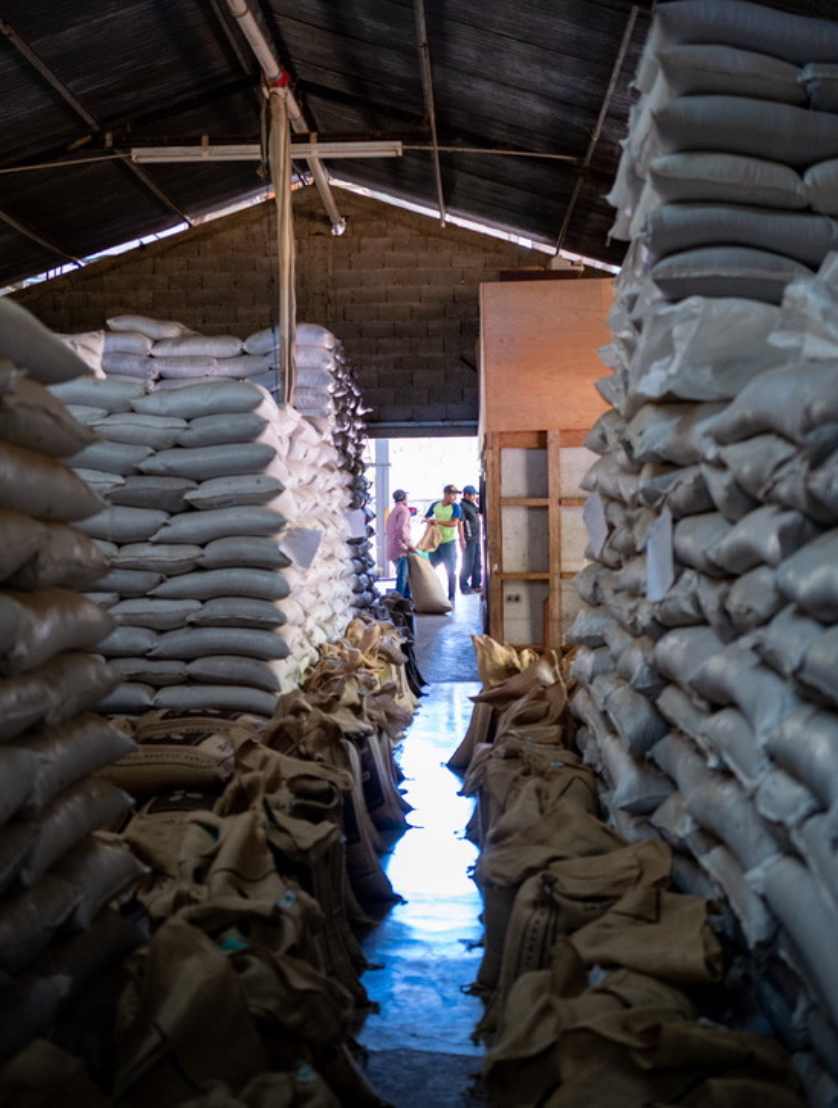 mojocoffee-about-us-direct-sourcing-market-insights-shared