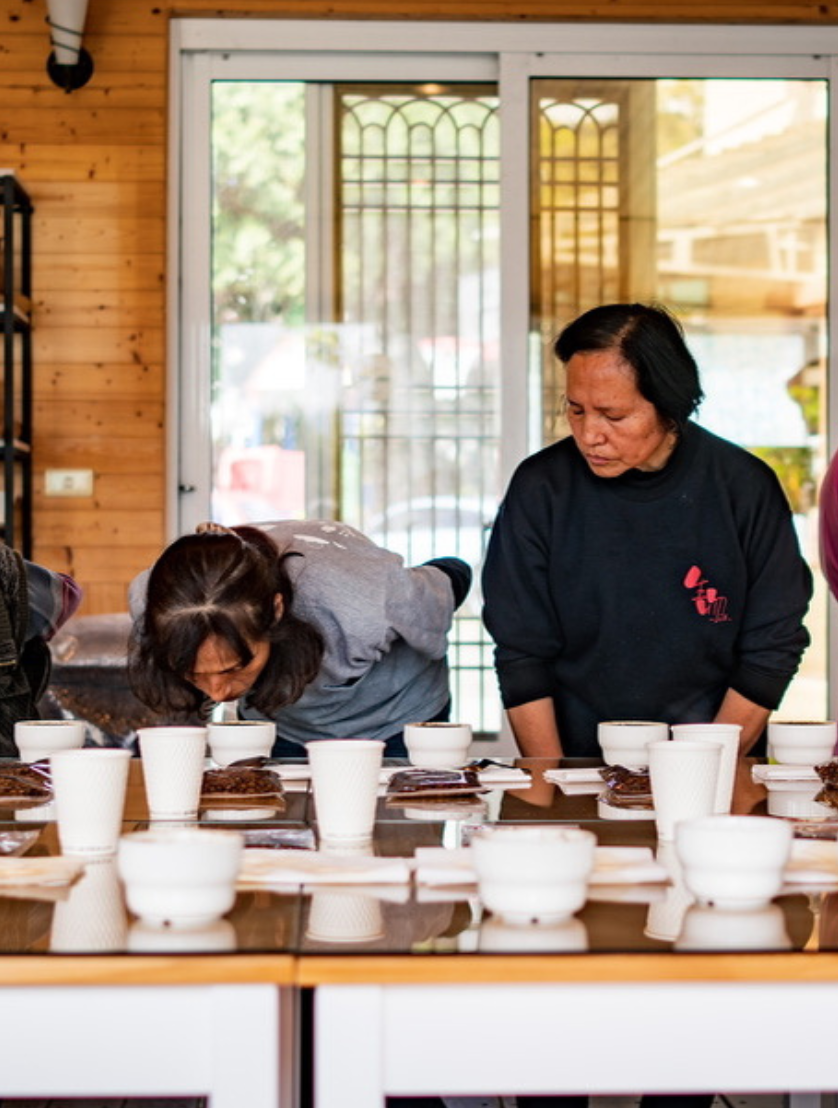 mojocoffee-about-us-sourcing-as-social-practice