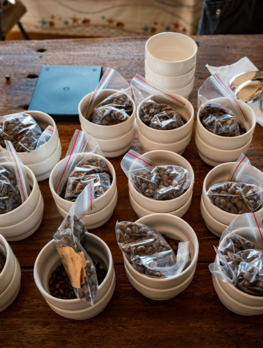 mojocoffee-Processing Method