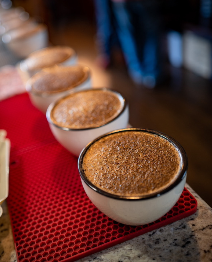 專業杯測與品鑑