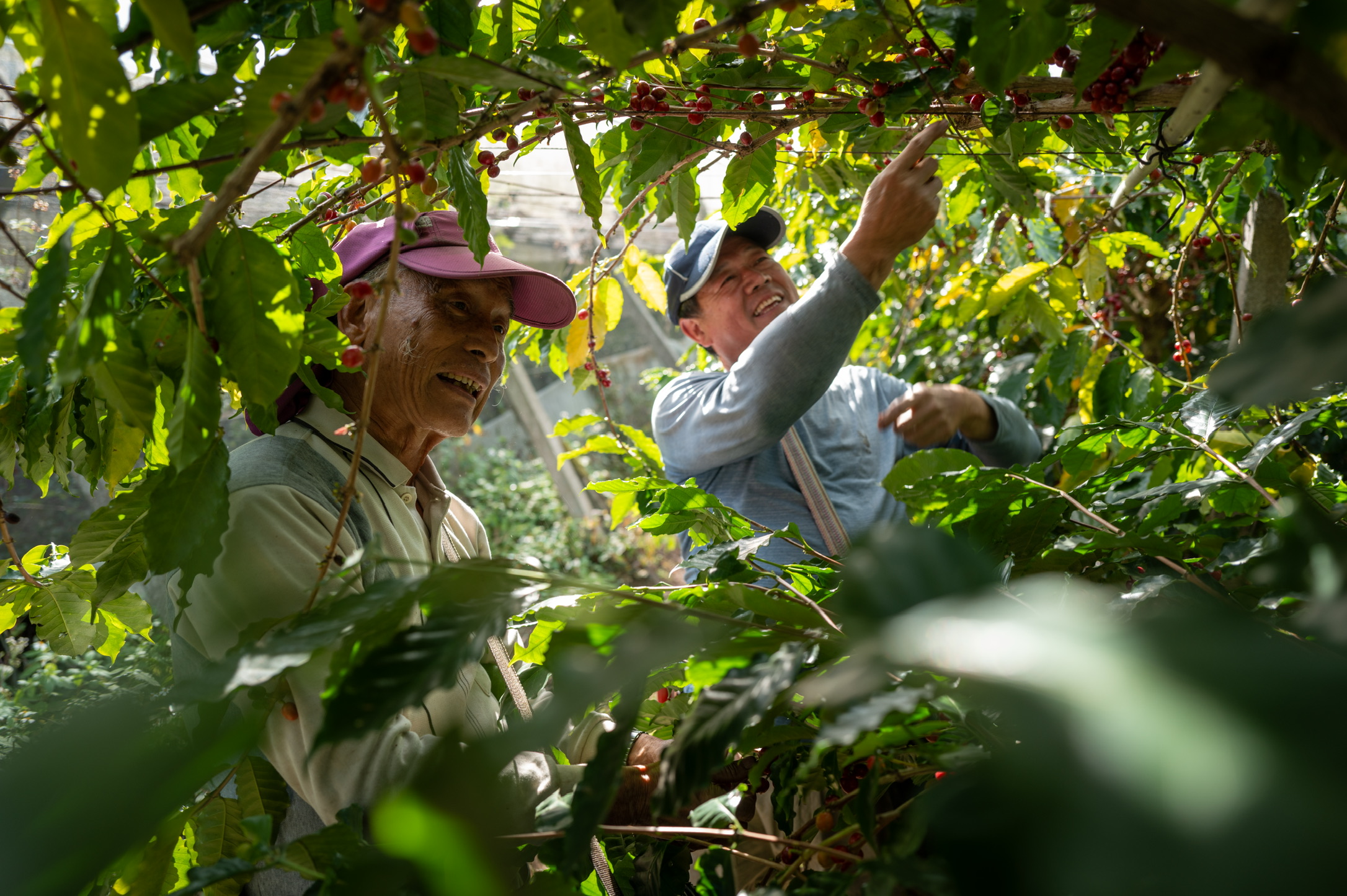 7FC48D1E-0FB8-42AF-B001-3862AD2184F5_1_102_o