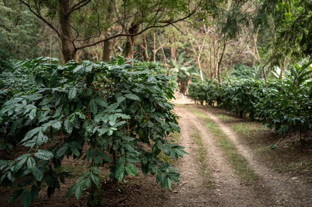 47EF806D-CA8F-4384-B663-419EA37BDEFD_1_105_c