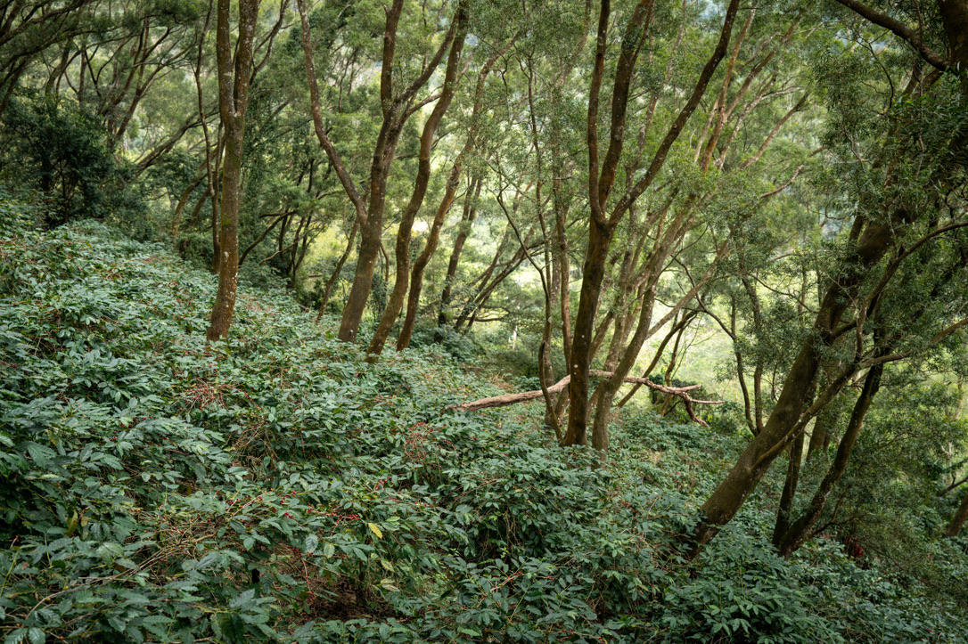 71E1F027-91F5-44A2-A184-6ED054645016_1_105_c