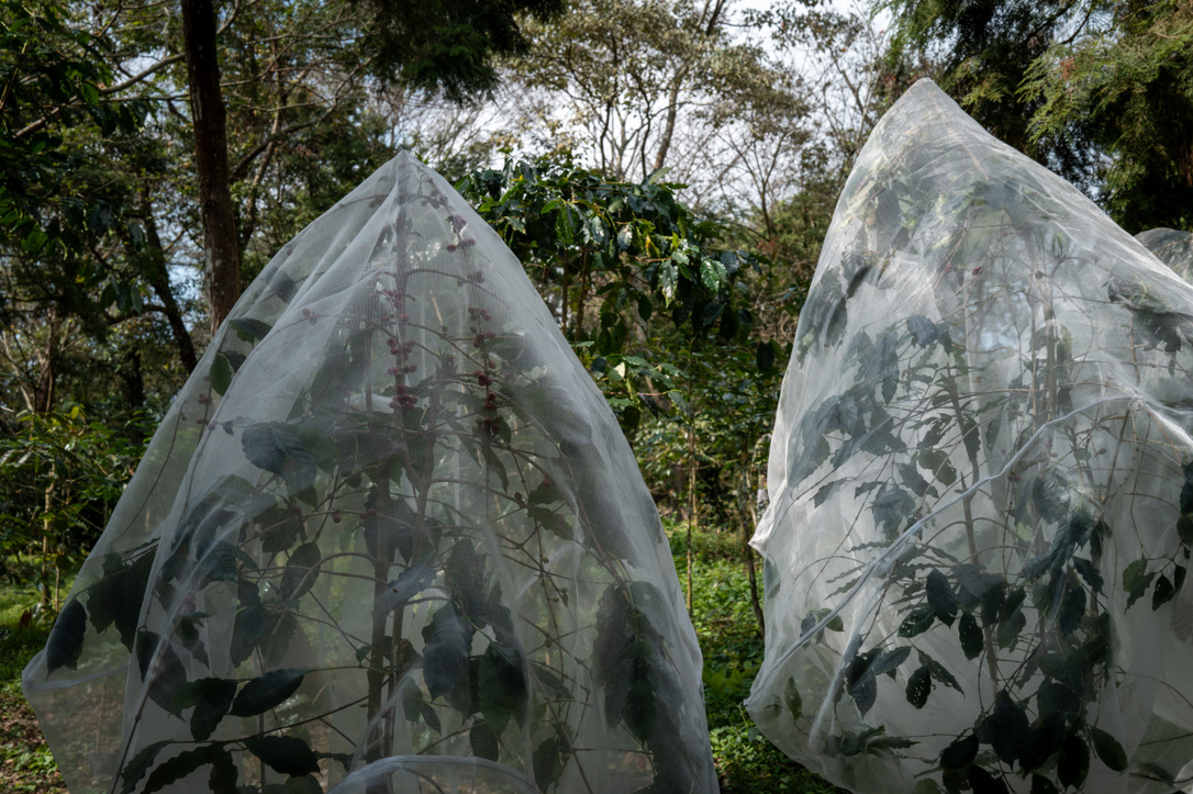 9B5067A9-2507-435D-ACE3-D9DEB4912E61_1_105_c