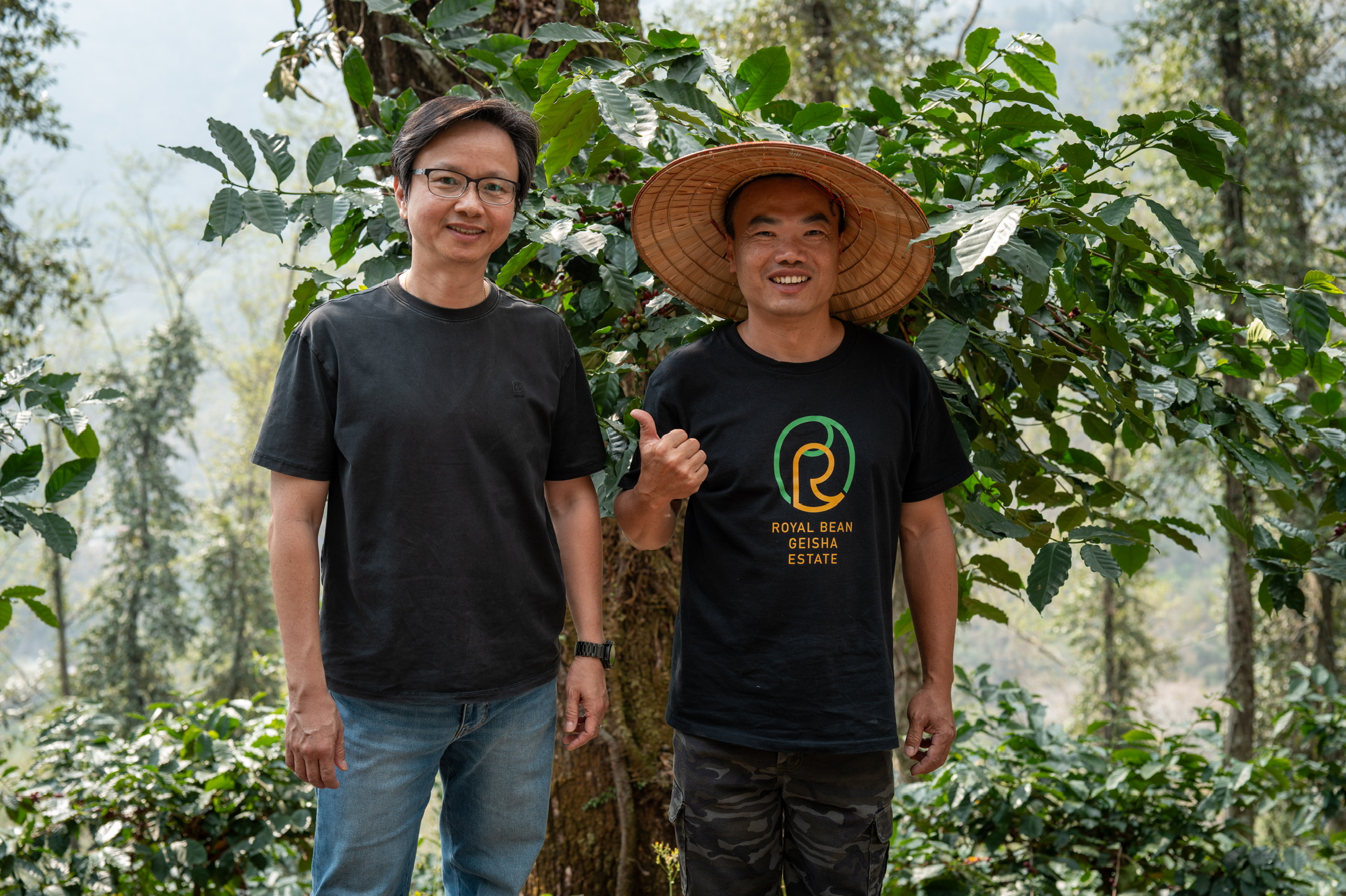 從鑑定到落地：他們如何把藝伎變成系統 | 台灣國產咖啡