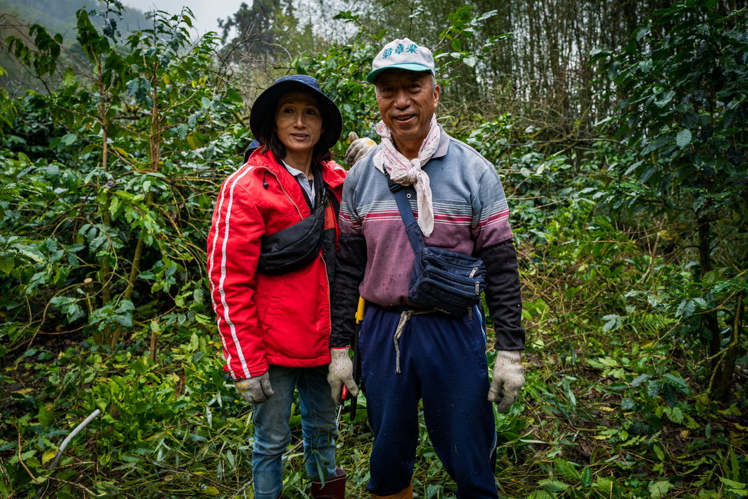 基布烏的共生風土：檳榔樹下長出的咖啡故事 | 台灣國產咖啡