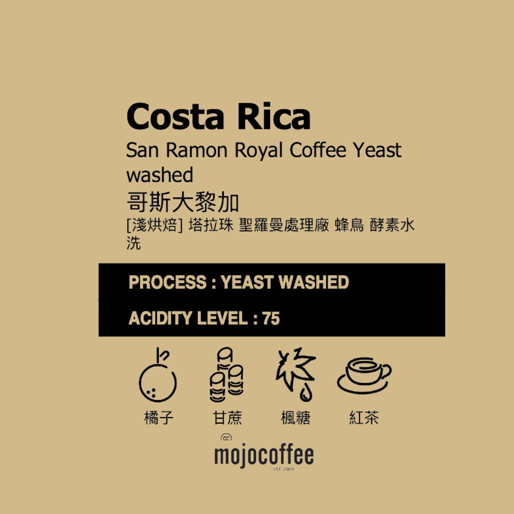 淺  哥斯大黎加 聖羅曼處理廠 蜂鳥 酵素水洗  0.5 lbs