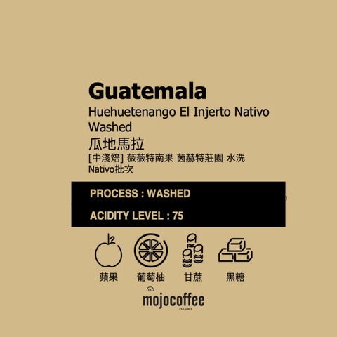 中淺  瓜地馬拉 薇薇特南果 茵赫特莊園 水洗 Nativo 批次  0.5 lbs