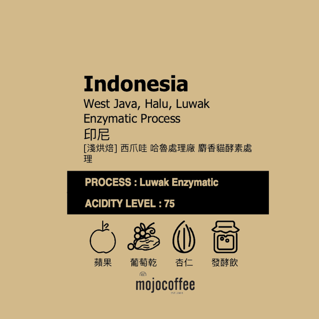 印尼 西爪哇 哈魯處理廠 麝香貓酵素處理 咖啡豆半磅