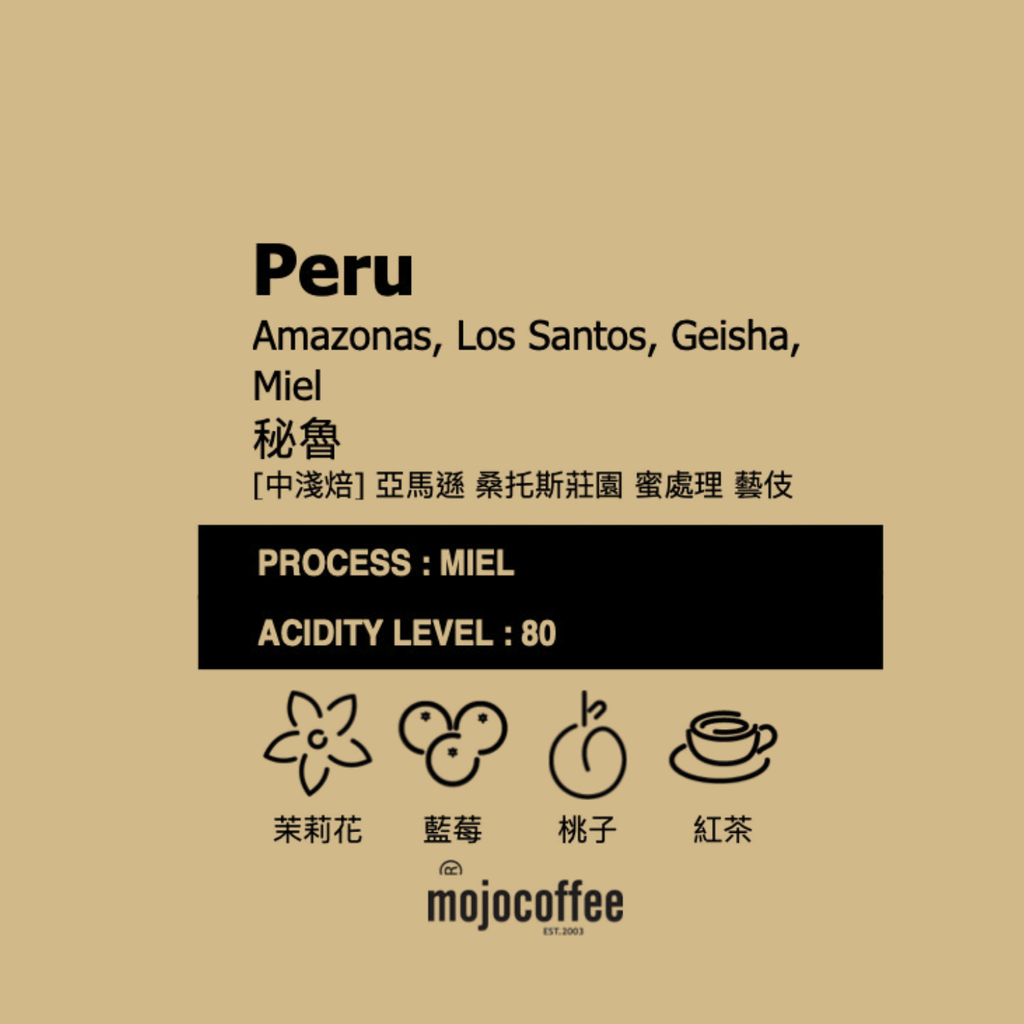 中淺  秘魯 亞馬遜 桑托斯莊園 藝伎 蜜處理