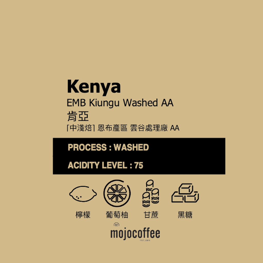 中淺  肯亞 恩布 雲谷處理廠 AA 