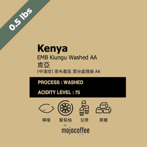 中淺  肯亞 恩布 雲谷處理廠 AA  0.5 lbs
