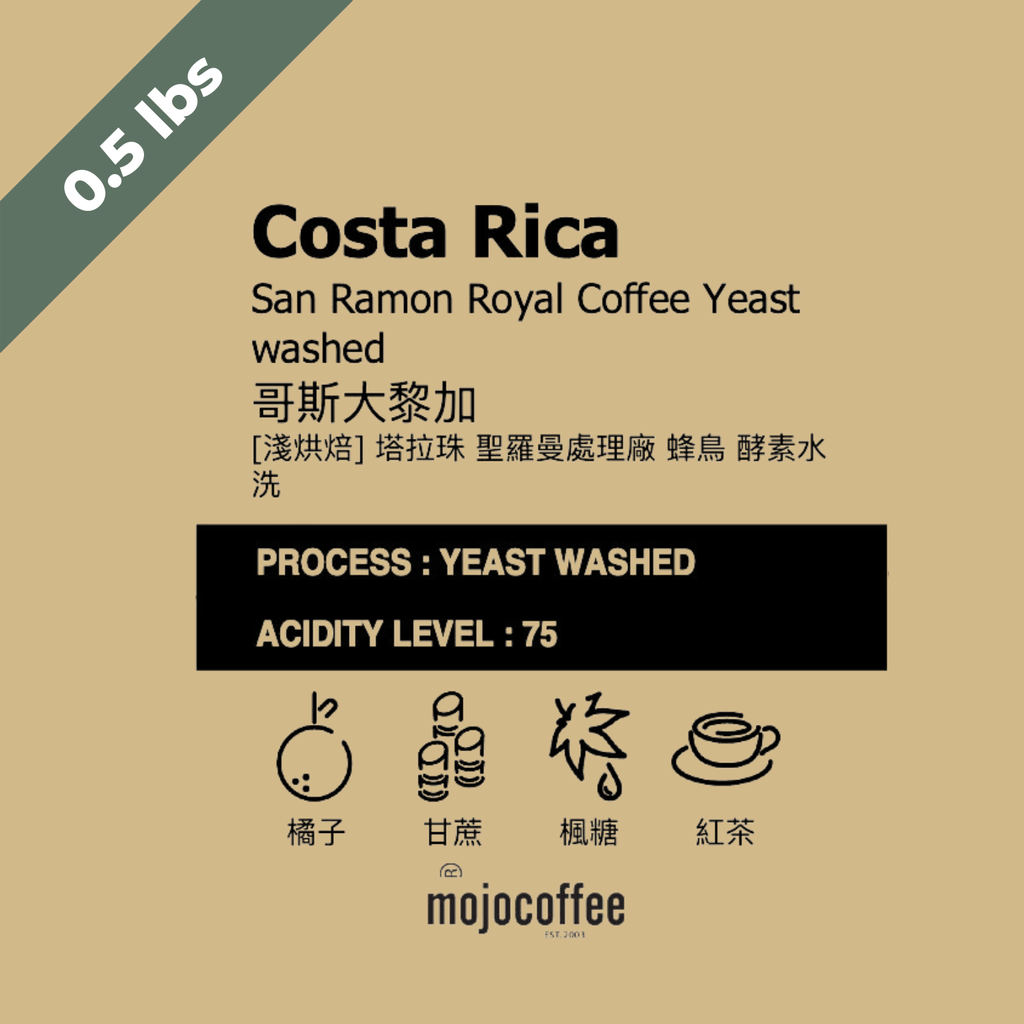 淺  哥斯大黎加 聖羅曼處理廠 蜂鳥 酵素水洗  0.5 lbs