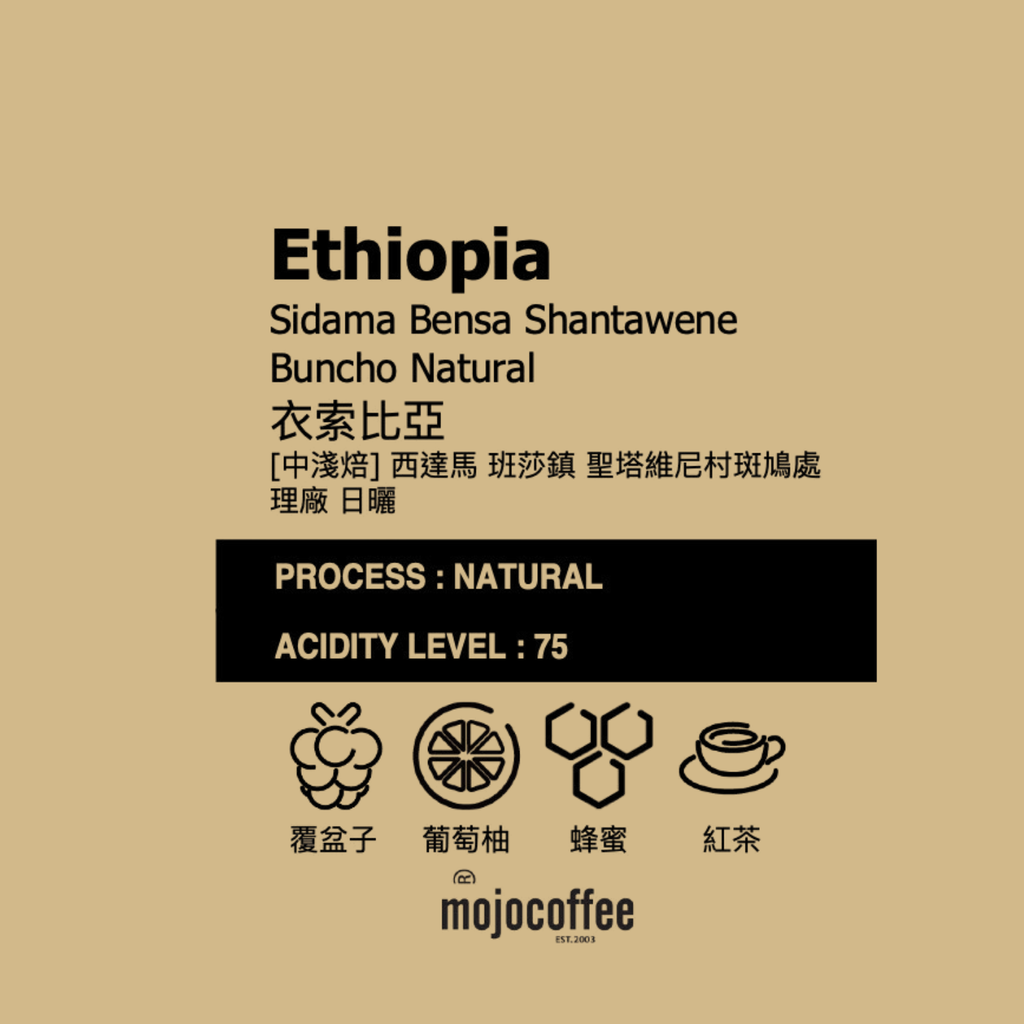 濾掛  衣索比亞 西達馬 班莎鎮 聖塔維尼村斑鳩處理廠 日曬 G1  單包