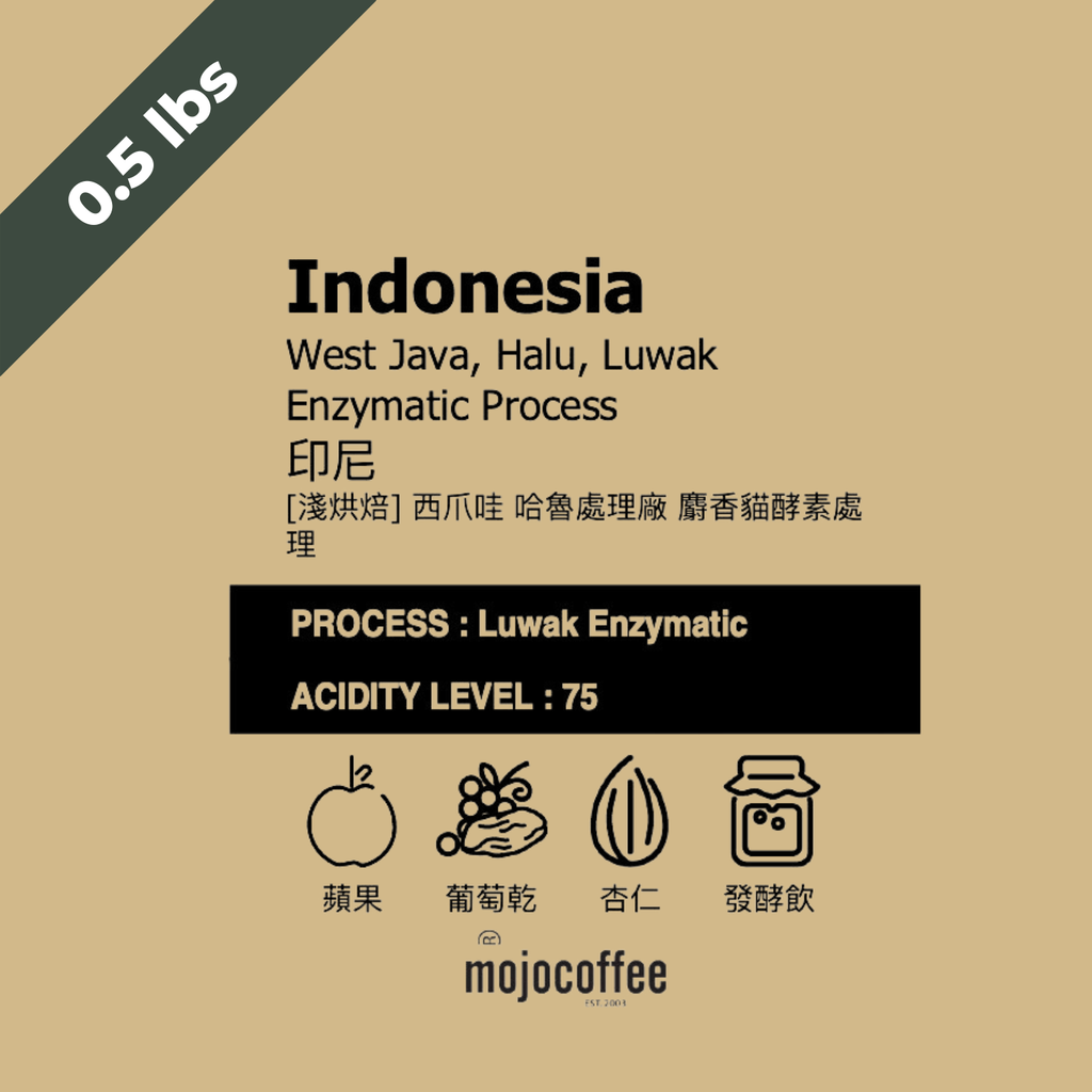 印尼 西爪哇 哈魯處理廠 麝香貓酵素處理 咖啡豆半磅