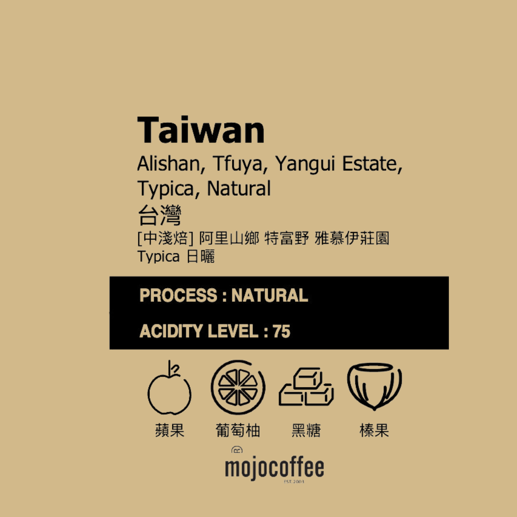 中淺  台灣 阿里山鄉 特富野 雅慕伊莊園 堤碧卡 日曬