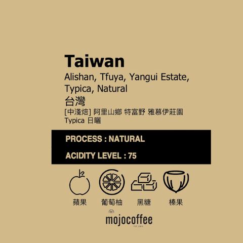 中淺  台灣 阿里山鄉 特富野 雅慕伊莊園 堤碧卡 日曬