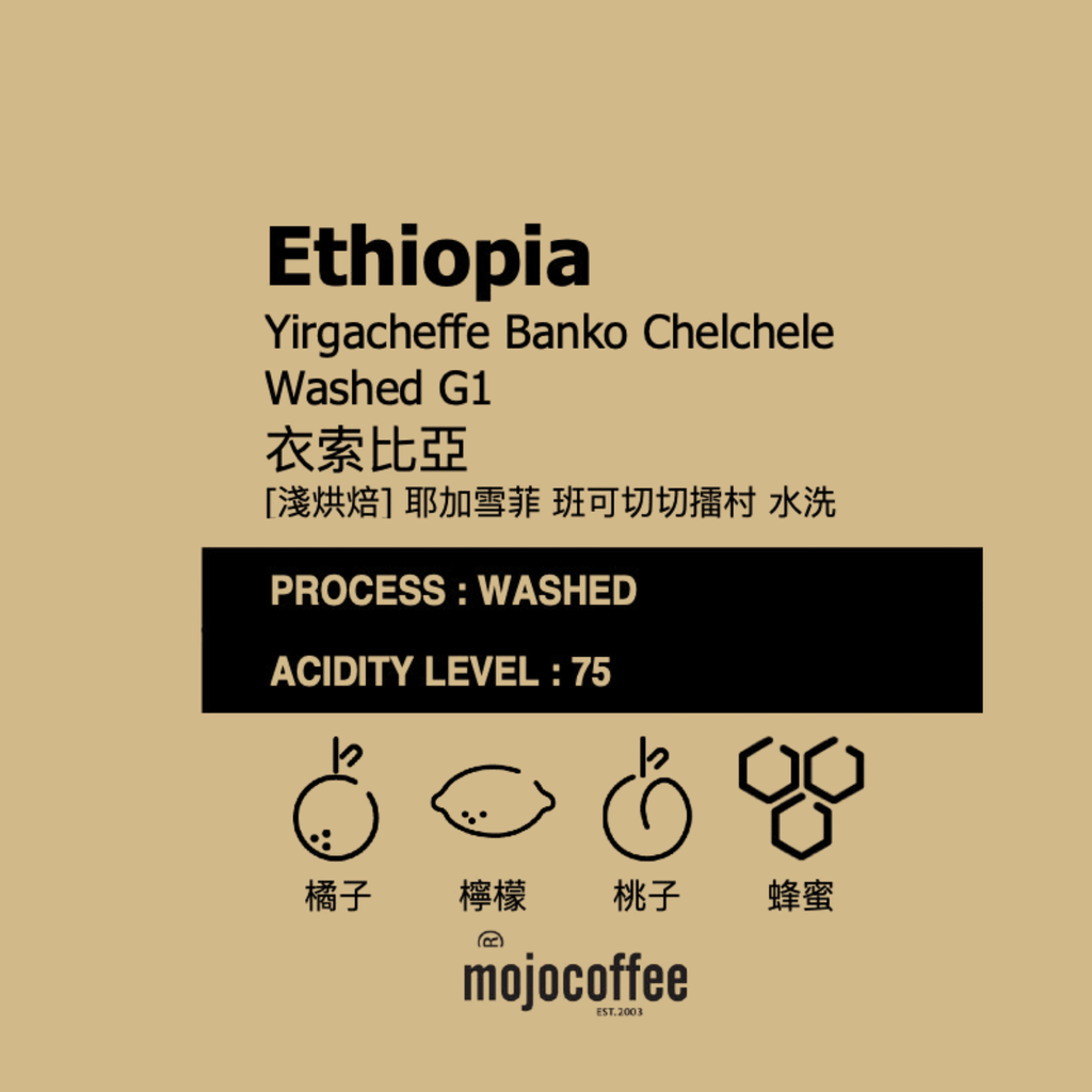 2026013700452  衣索比亞 蓋德奧 耶加雪菲 潔蒂普鎮班可切切擂村 水洗 G1 掛耳包單包 ｜黃色掛耳包裝