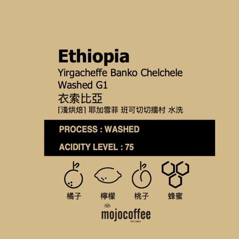 2026013700452  衣索比亞 蓋德奧 耶加雪菲 潔蒂普鎮班可切切擂村 水洗 G1 掛耳包單包 ｜黃色掛耳包裝